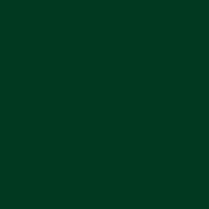 Ae80016600520 Ral 6005