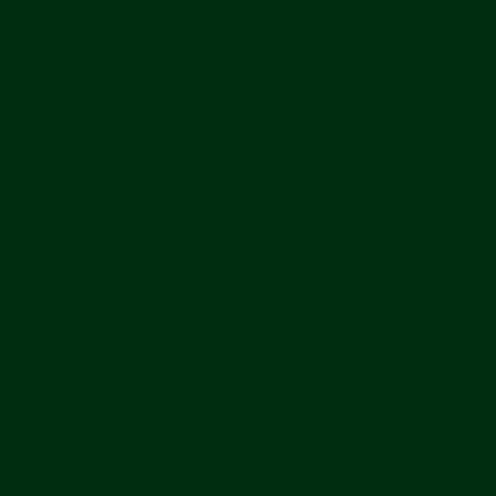 Ae80016600920 Ral 6009 1